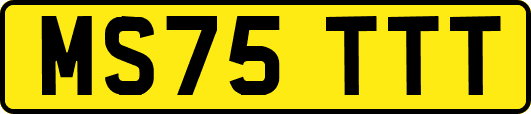 MS75TTT