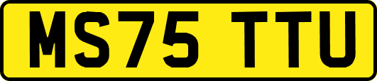 MS75TTU