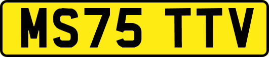 MS75TTV