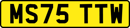 MS75TTW