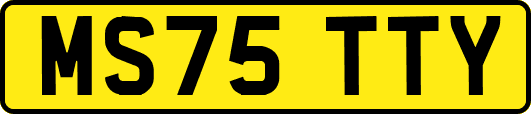MS75TTY