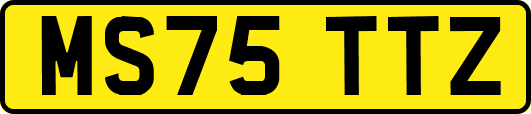 MS75TTZ