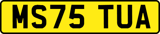 MS75TUA