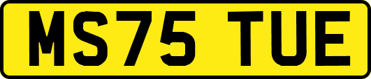 MS75TUE