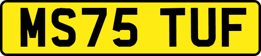 MS75TUF