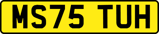 MS75TUH
