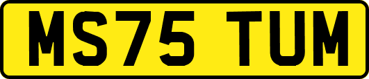MS75TUM