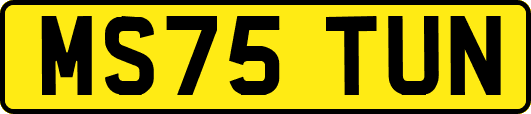 MS75TUN