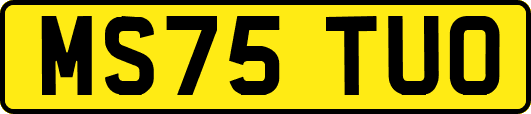 MS75TUO