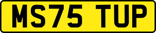 MS75TUP