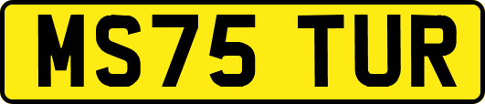 MS75TUR