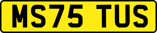 MS75TUS