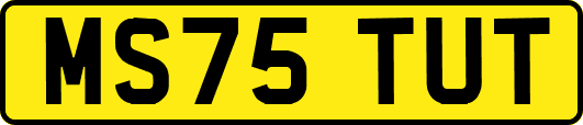 MS75TUT
