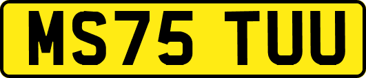 MS75TUU