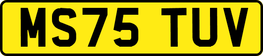 MS75TUV