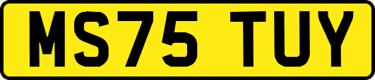 MS75TUY