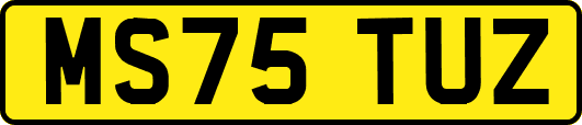 MS75TUZ