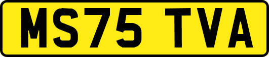 MS75TVA