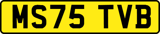 MS75TVB