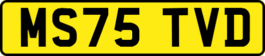 MS75TVD