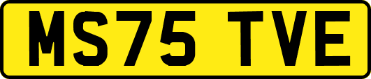 MS75TVE