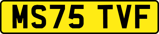MS75TVF