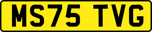 MS75TVG