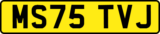 MS75TVJ