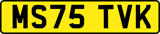MS75TVK