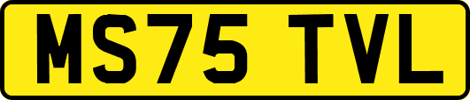 MS75TVL
