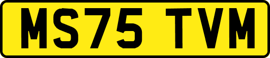 MS75TVM