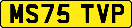 MS75TVP