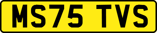 MS75TVS