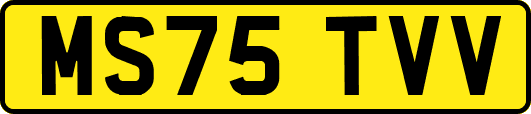 MS75TVV