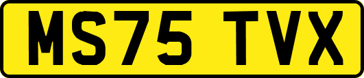 MS75TVX