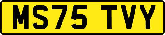 MS75TVY