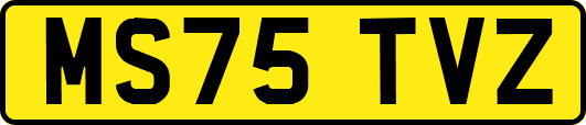 MS75TVZ