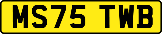 MS75TWB
