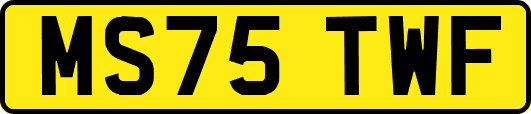 MS75TWF