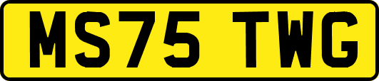 MS75TWG