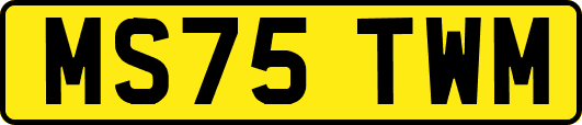 MS75TWM