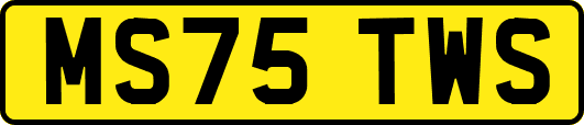 MS75TWS
