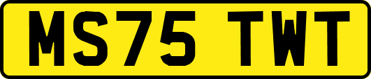 MS75TWT