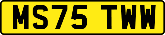 MS75TWW