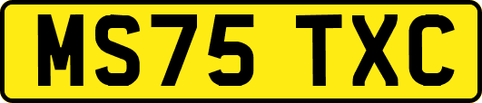 MS75TXC