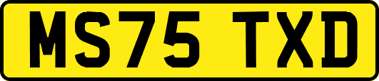 MS75TXD