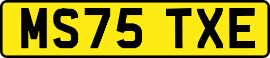 MS75TXE