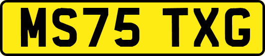 MS75TXG
