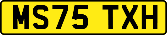 MS75TXH
