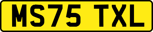 MS75TXL